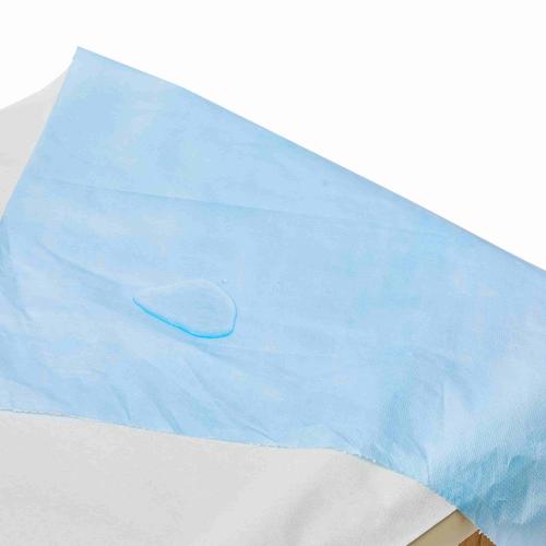 China Telijie Disposable Bed Sheet Roll, PP+PE Non-Woven Fabric Multi-Color, Waterproof for Hotel, Home & Travel Hersteller